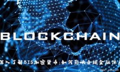 深入了解BIS加密货币：如